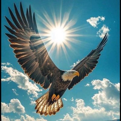 C32832's profile picture. 