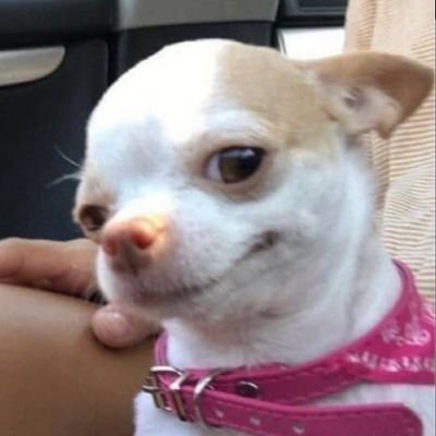 0xAbbyLove's profile picture. Blockchain believer