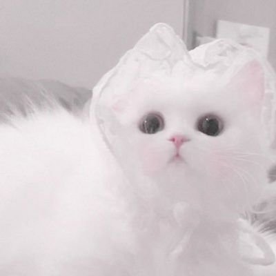 NLukec128654's profile picture. 