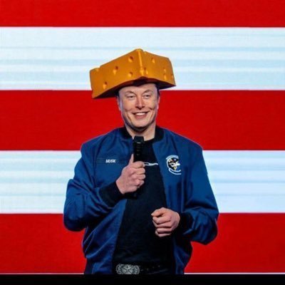 CEO - Space X Tesla Founder The Boring Company Co-Founder