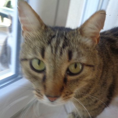 bisoucalins70's profile picture. 