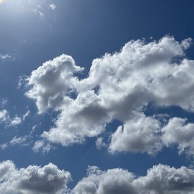 vi2vm5's profile picture.