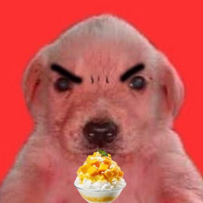 mollreum_e's profile picture. 몰르겠어요 그냥 여자가 좋아요