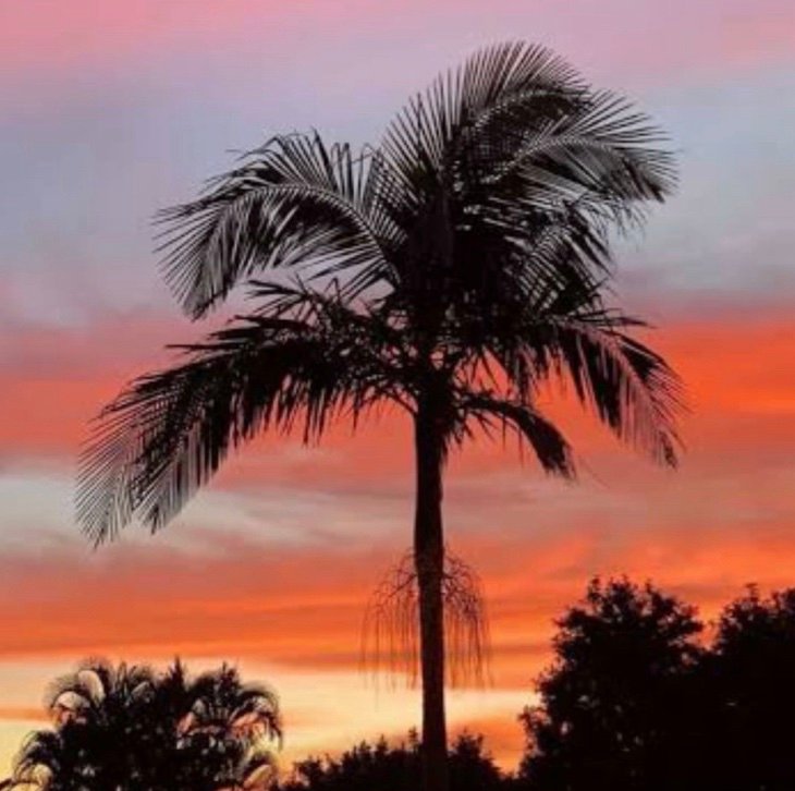 thatflamez's profile picture. 
