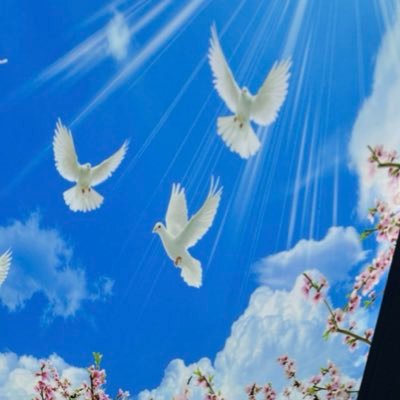 fuelCT's profile picture. quant ~ 2015 🎰 

 https://t.co/dStsjKGbcg