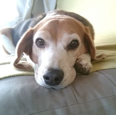 mappy20250922's profile picture. 