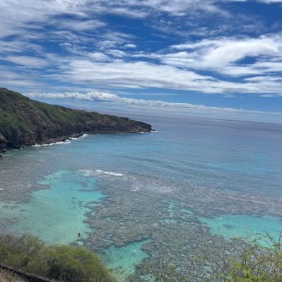 okokpani's profile picture. 