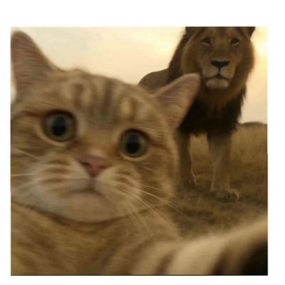 greentulip0's profile picture. 📖🌺 {رَبِّ إِنِّي لِمَا أَنْزَلْتَ إِلَيَّ مِنْ خَيْرٍ فَقِيرٌ}