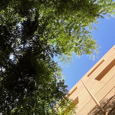 CE__Dena's profile picture. CE student at @COC_QU_SA 👩🏻‍💻