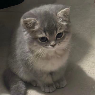 pffwry9's profile picture. 