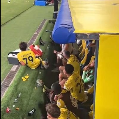 bassetaksa's profile picture. 