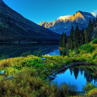 thecurious055's profile picture. 