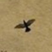 Uw9O3r's profile picture. 