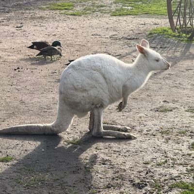 4_2__0_'s profile picture. 