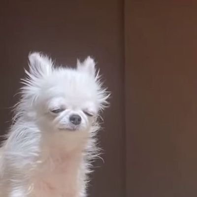 SureBoy_09's profile picture. 