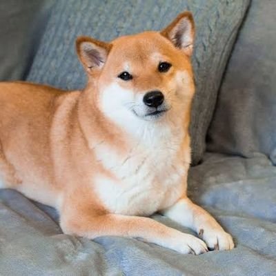 tkm_13594678's profile picture. 