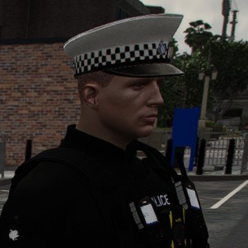 Road Polcing Unit // Police Constable 
@HampestRPC // Fictional Account.