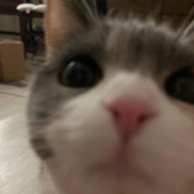 blueberry096's profile picture. 