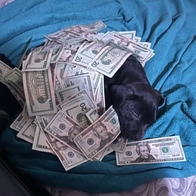 I just be yapping fr add the soundcloud