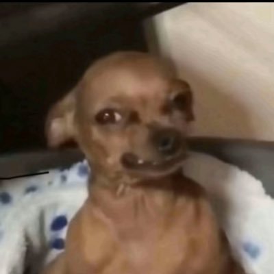 Commentkiller21's profile picture. I'm just here so I can read the comments to the links my friends keep sending me #Anatomiststudent #Umd25