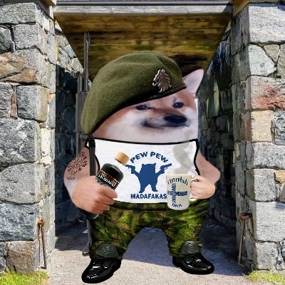 #NAFO #NAFOExpansionIsNonNegotiable 🇫🇮❤️🇺🇦
Sniffing lies fetching facts.Wagging tail for equality, human rights, democracy. Is not working for CIA