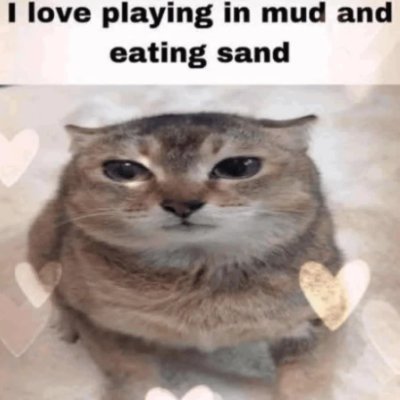 nguyengoluong's profile picture. i wil hapie