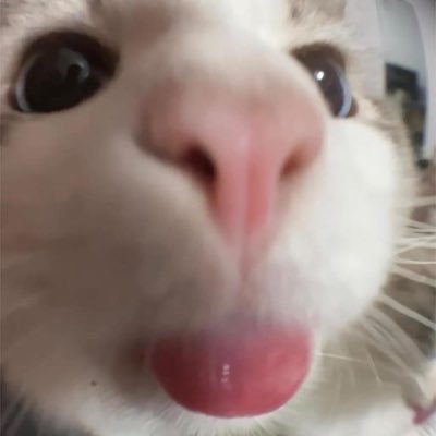 yyuunnaac's profile picture. 