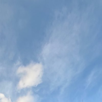 megane_frdc's profile picture. 