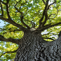 AndreaRoss18672's profile picture. Professional who is recently moved to Nashville for the music scene. Known for being honest and adaptable, with personal interests in blogging, web design, back