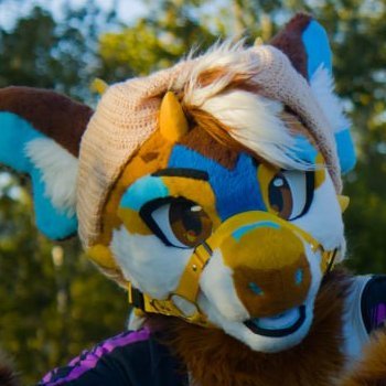 AriDragoneer's profile picture. Local Deer-Dragon | SFW | he/him | gay | taken    

Fursuit made by @tomacats_suits
Armsleeves and feetpaws made by @Shrumibo