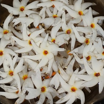 phyr_za's profile picture. Fondest,  Blindest, Weakest