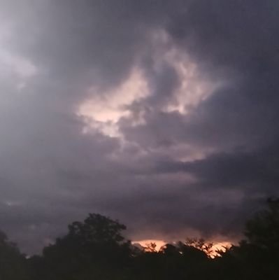 chrisb1558216's profile picture. nada es imposible.