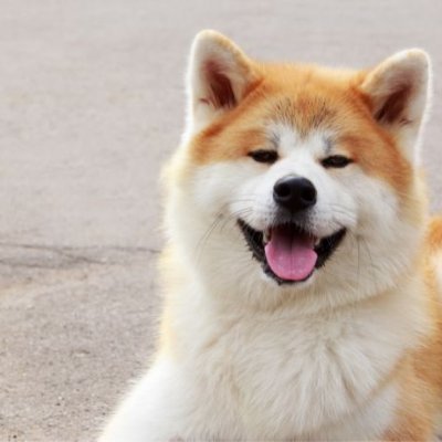 Sabujhowlader11's profile picture. 希望有美好的生活和乐观
