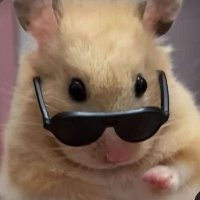 0xuexue0's profile picture. 