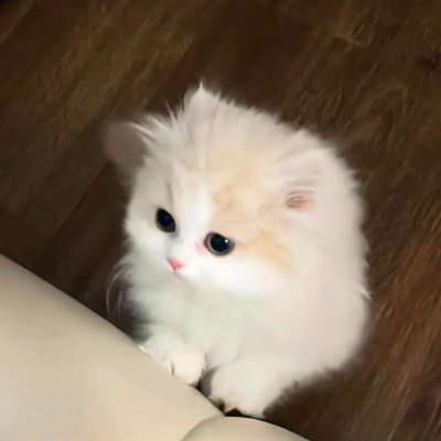 MoAFcRwFFS7GkQM's profile picture. You may not control all the events that happen to you, but you can decide not to be reduced by them