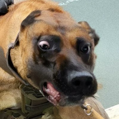 MeyeriLime's profile picture. E Pluribus, Unum