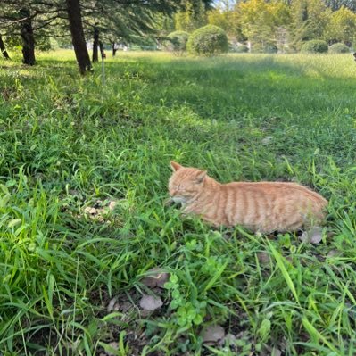 bumxy_'s profile picture. 