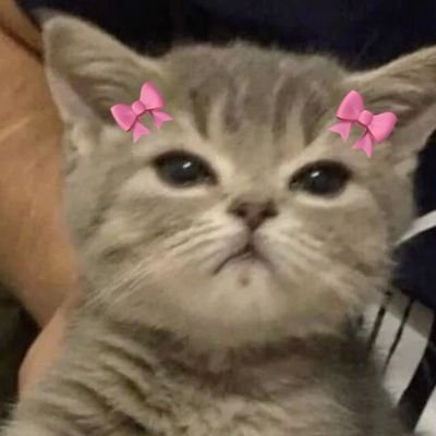 lesssugarbb's profile picture. 