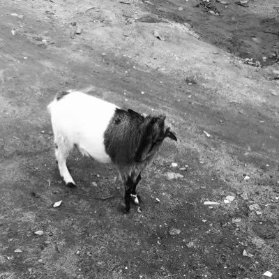 JValentine_001's profile picture. Face ur front                                                                        #Novicetrader 🥸