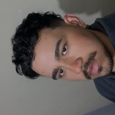 birdsofather's profile picture.