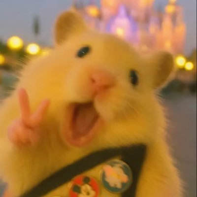 pannitaa2019's profile picture. เขาให้มองกล้องรึเปล่าพี่ มองหนูอยู่ได้🐨🐰