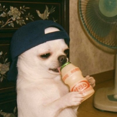 lnzhngxng120925's profile picture. 