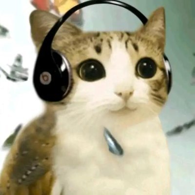 Soy un gran fan de Dishonored y pikmin
Me gustan mucho los zorros:3
https://t.co/vIgV7YIumV