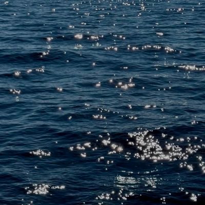 busankoocart's profile picture. i'll be there for you | dm for buyers who haven't filled the shipping form :)