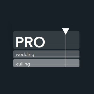 Stop wasting time on culling. We provide expert wedding video culling services to streamline your workflow and deliver stunning films, without the stress.