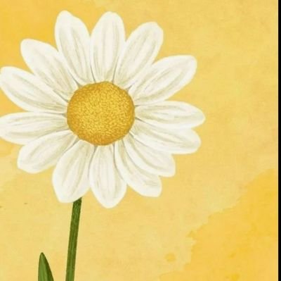 ogretmenkhanim's profile picture. 