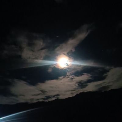 VikeshC11's profile picture. 