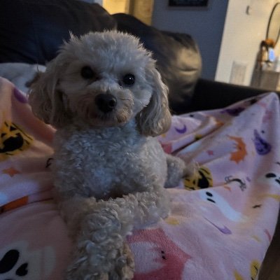 jmmq09's profile picture. 