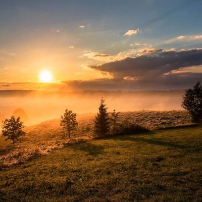INrealSHINE's profile picture. Content Creator