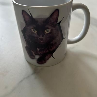 Anthony73298154's profile picture. 